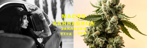 твердый Медногорск