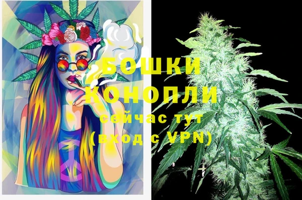 каннабис Белокуриха