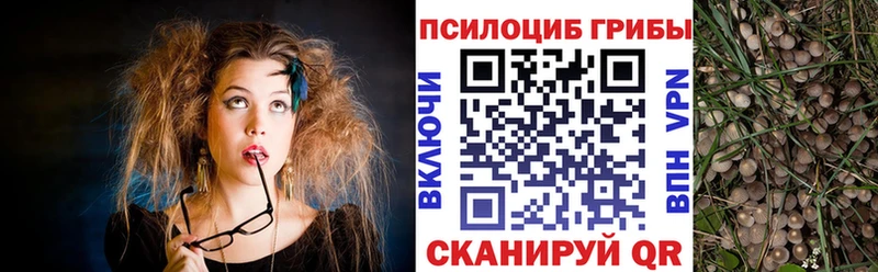 Галлюциногенные грибы прущие грибы Белокуриха